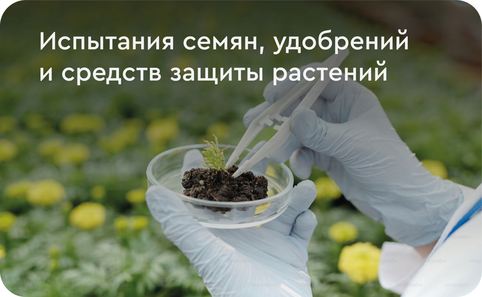 услуги на сайт2.jpg