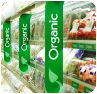 Популяризация и продвижение