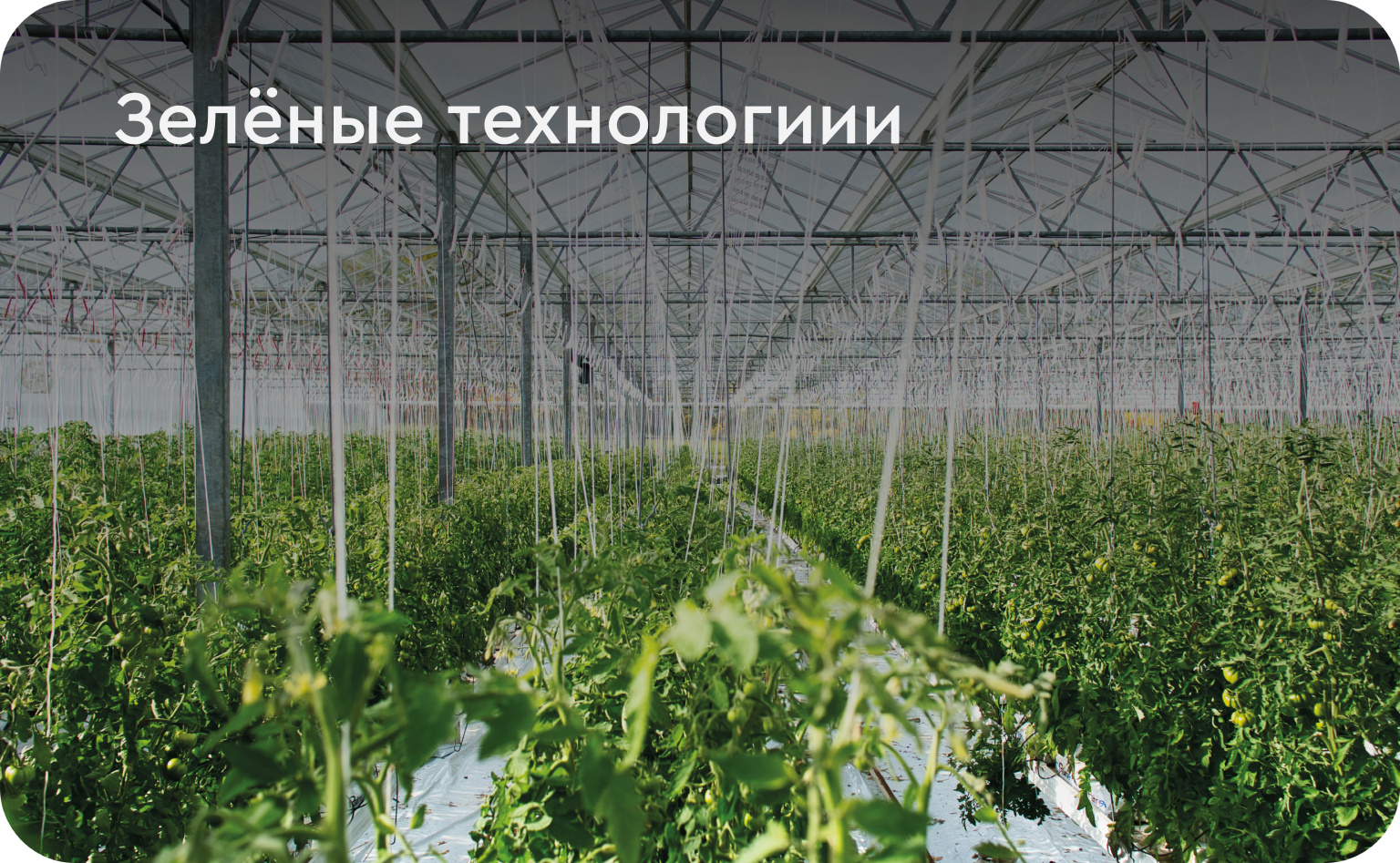 услуги на сайт.jpg