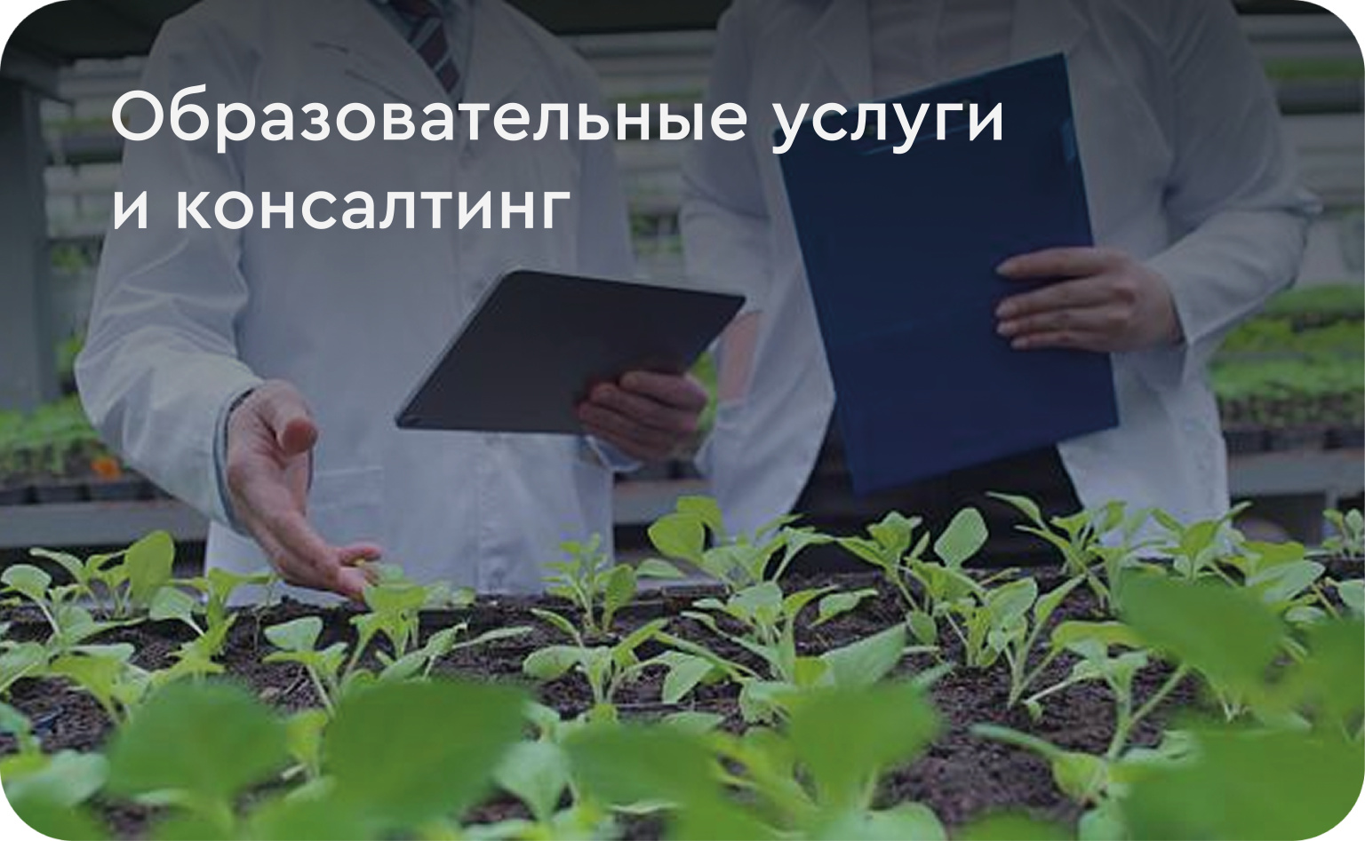 услуги на сайт5.jpg