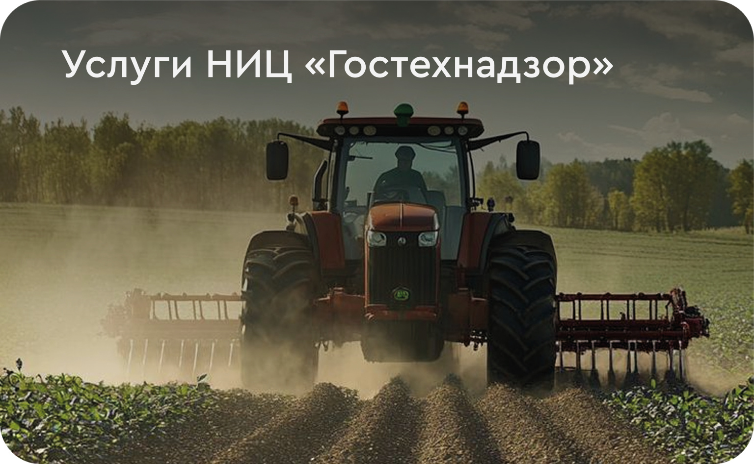 услуги на сайт4.jpg