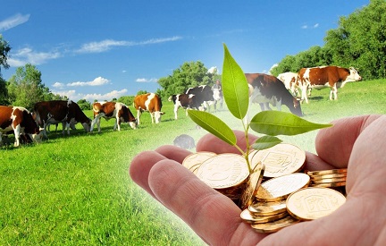 Агроразвитие